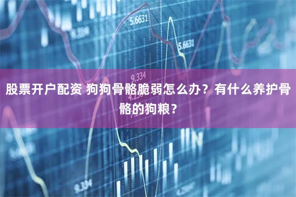 股票开户配资 狗狗骨骼脆弱怎么办？有什么养护骨骼的狗粮？