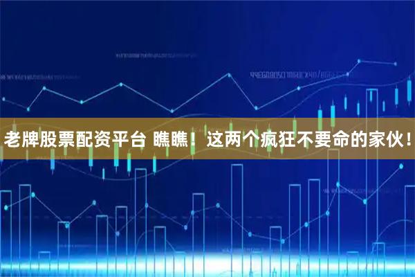 老牌股票配资平台 瞧瞧！这两个疯狂不要命的家伙！